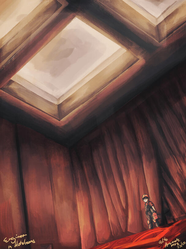 Engineer in Hotel Rooms